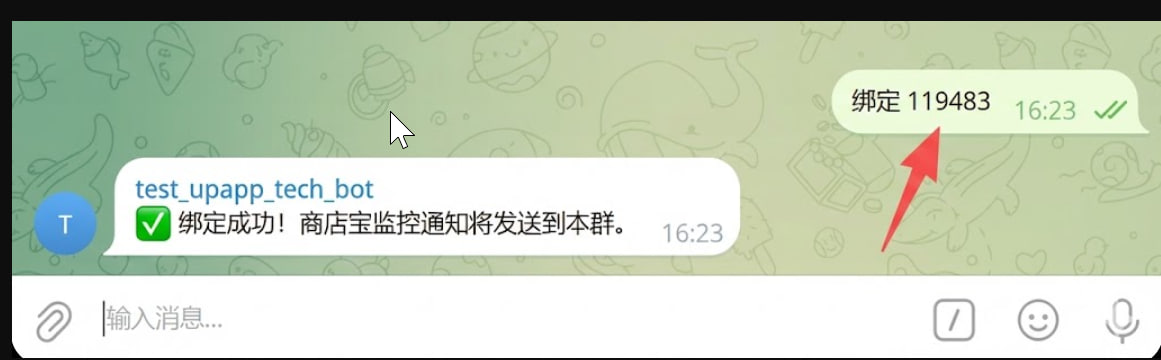 UPAPP PWA Domain DNS